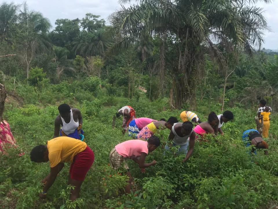 Dream Big for Children activity photo 1