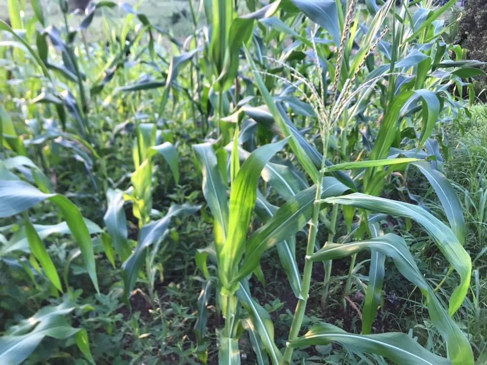 Dream Big for Children activity photo 6