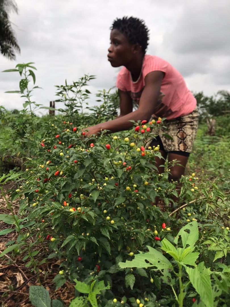 Dream Big for Children activity photo 7