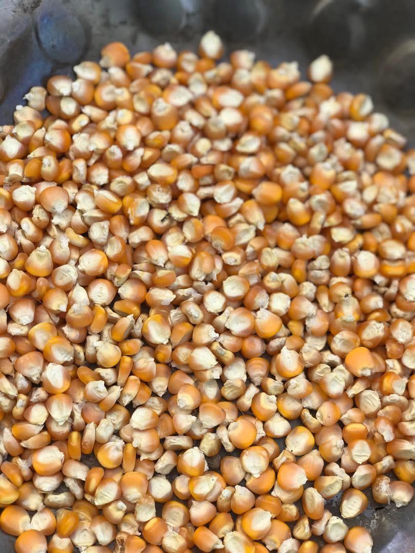 Dream Big for Children activity photo 8